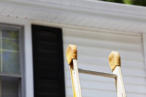 Fox Lake, WI Siding Installation & Repair Company